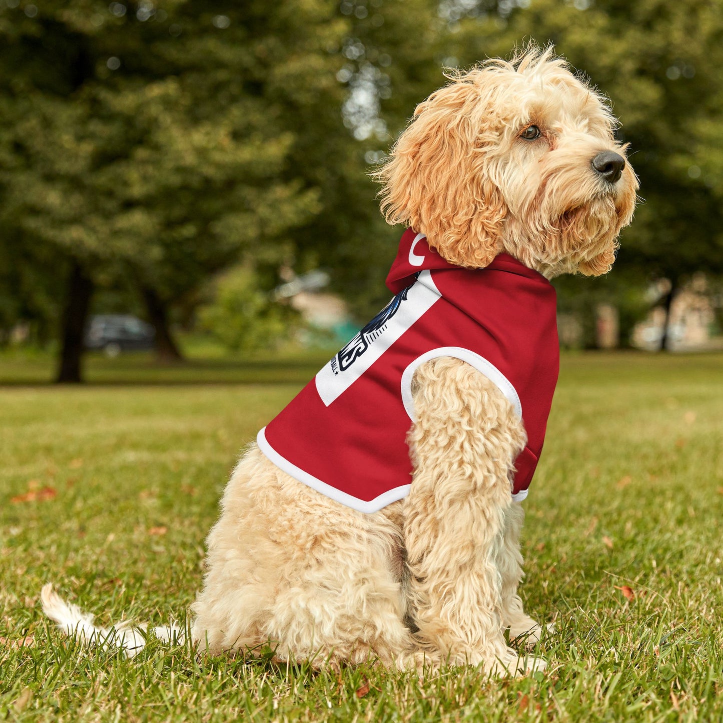 American Football Tom Pawdy Dog Hoodie