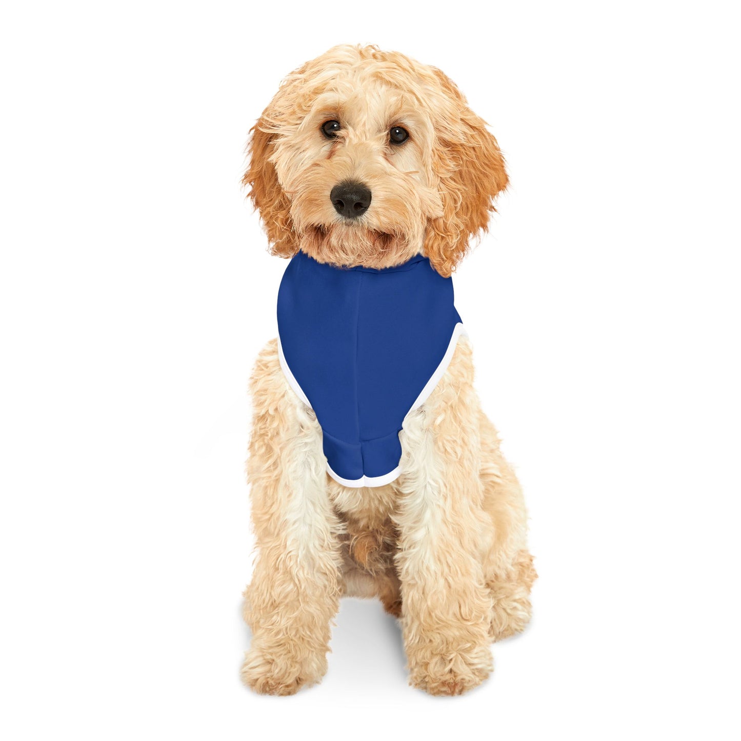 Basketball Michael Pawdan Dog Hoodie