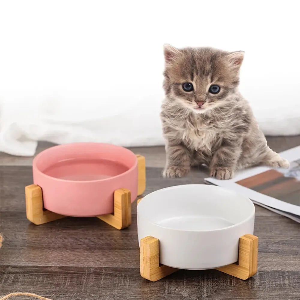 Ceramic Dog Bowl with Bamboo Stand