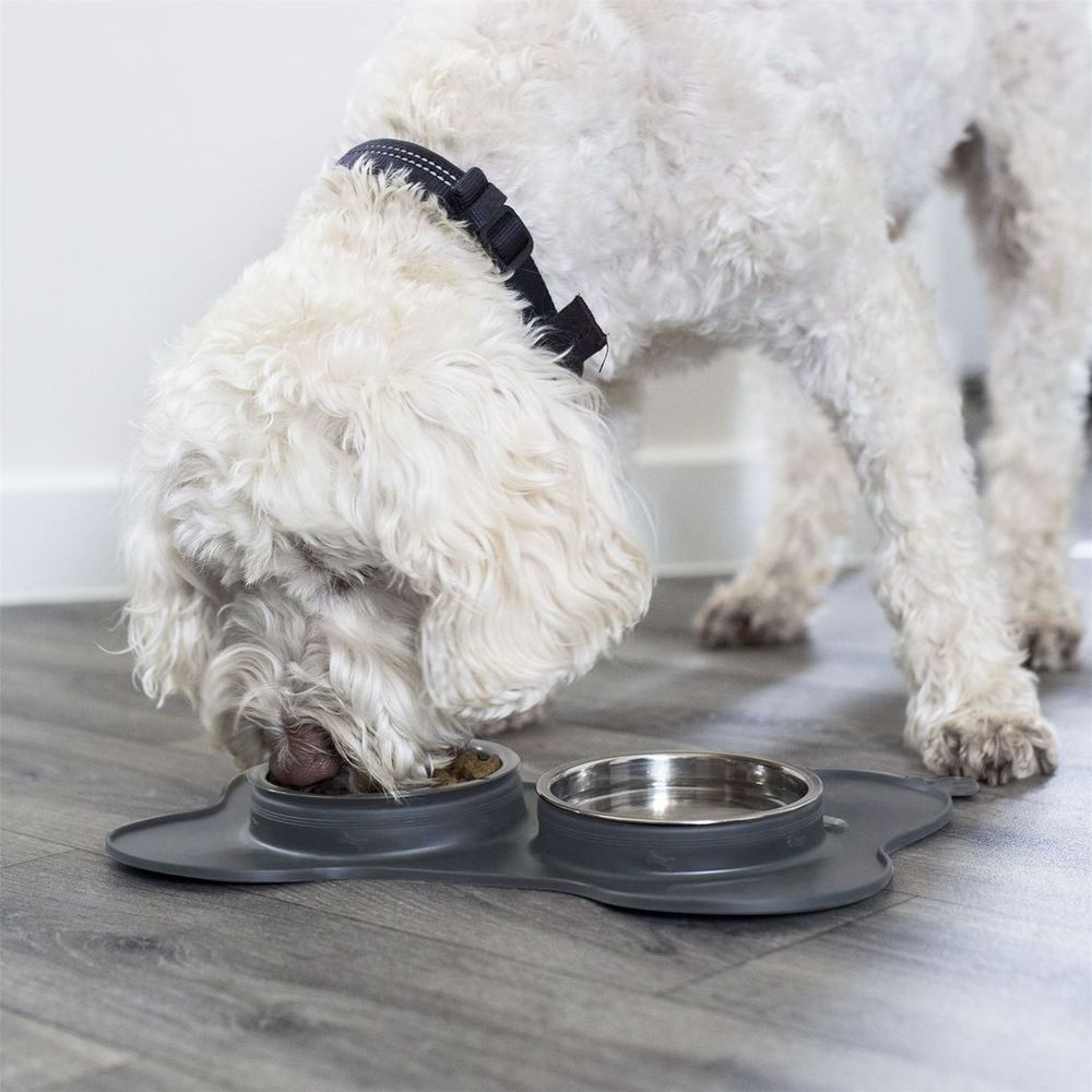 Dog Slow-Feeder Set with Non-Slip Mat and Dog Bowl