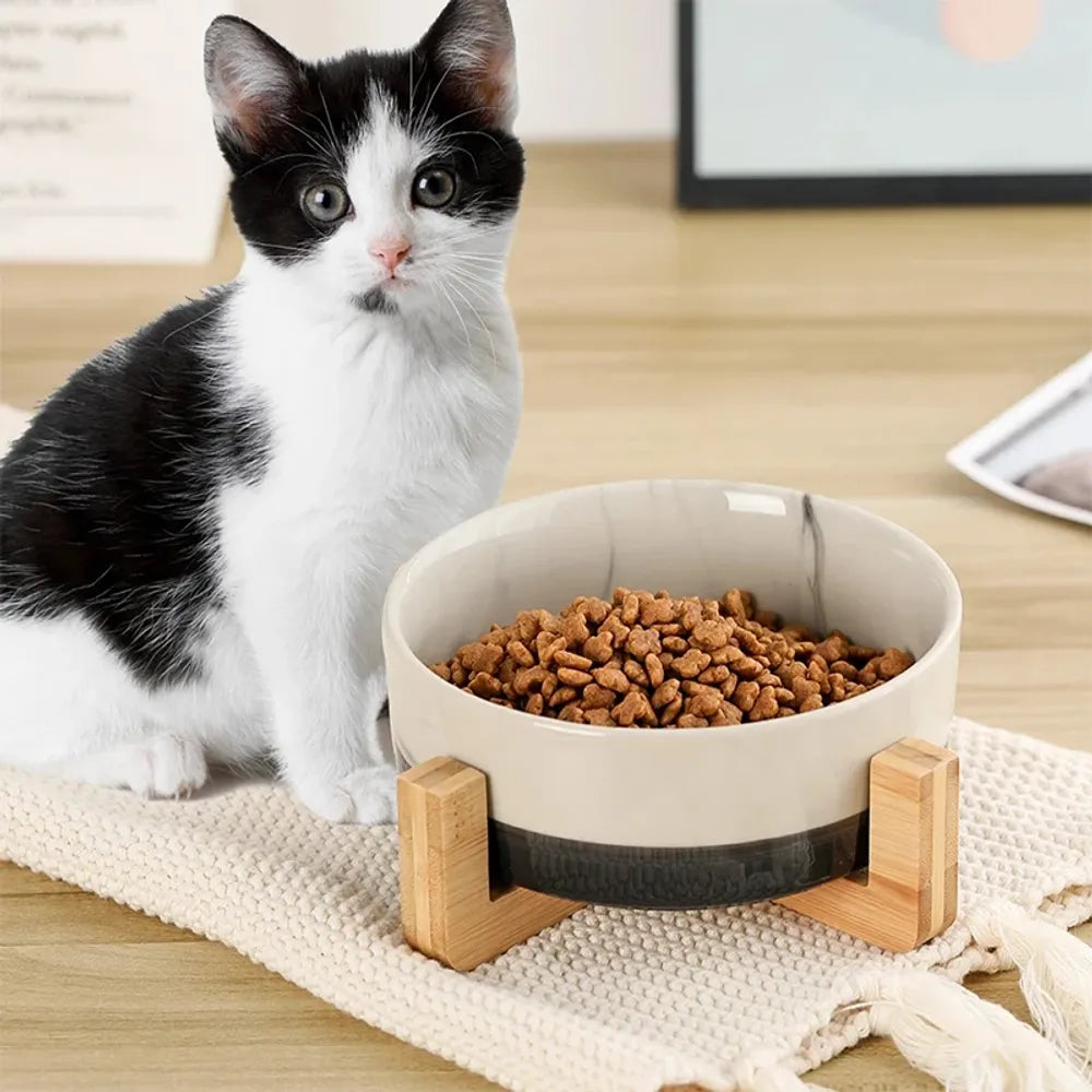 Ceramic Dog Bowl with Bamboo Stand